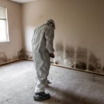 Mold Damage Restoration