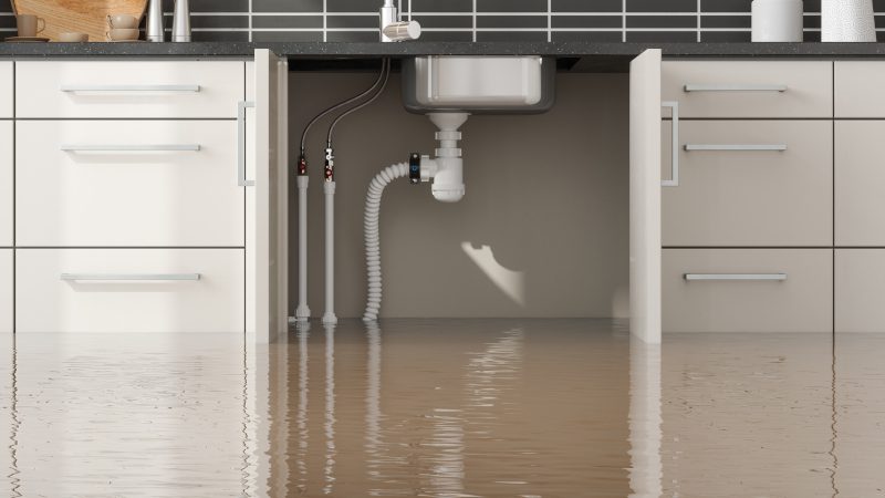 Disaster Cleanup in Naples, Florida