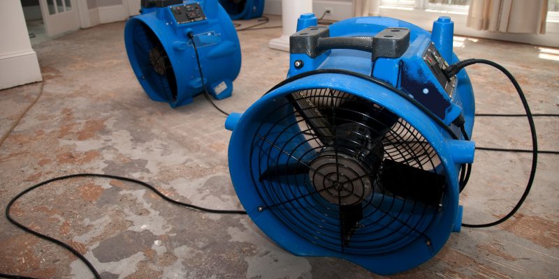 Postdisaster Recovery in Naples, Florida